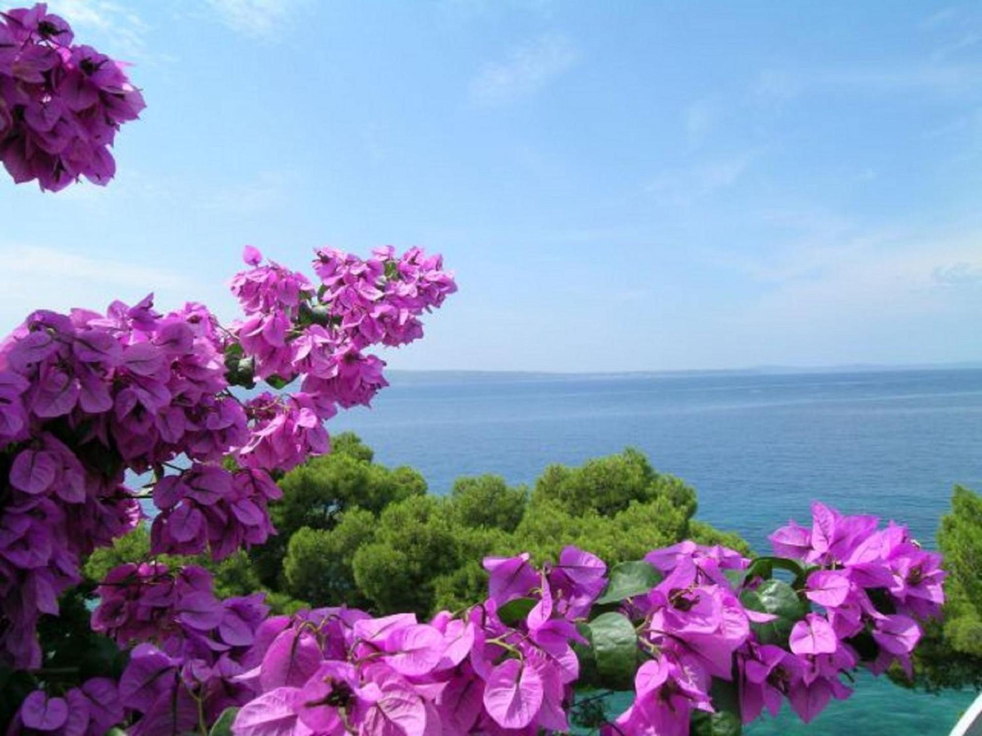 Apartments Milica Krilo Εξωτερικό φωτογραφία